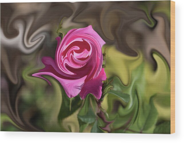 Rose Wood Print featuring the photograph Pink Warped Rose by Jennifer Grossnickle