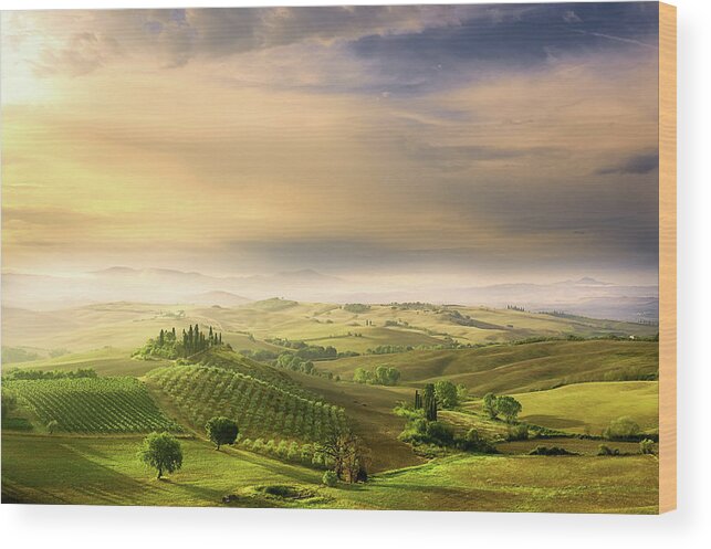Tuscany Wood Print featuring the photograph Podere Belvedere's Sunrise by Arnaud Bratkovic