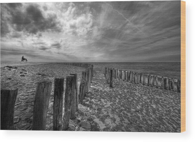 Beach Wood Print featuring the photograph Point Of View by Leon