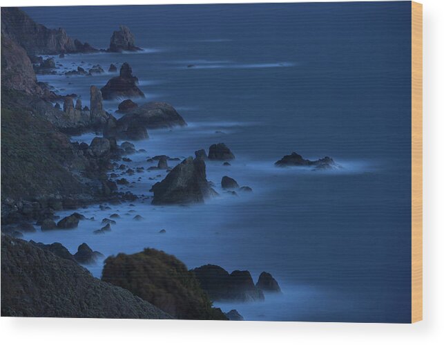 Scenics Wood Print featuring the photograph Point Reyes National Seashore by Mint Images - Art Wolfe