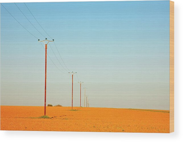 Pole Wood Print featuring the photograph Poles In Field by Klaus W. Saue