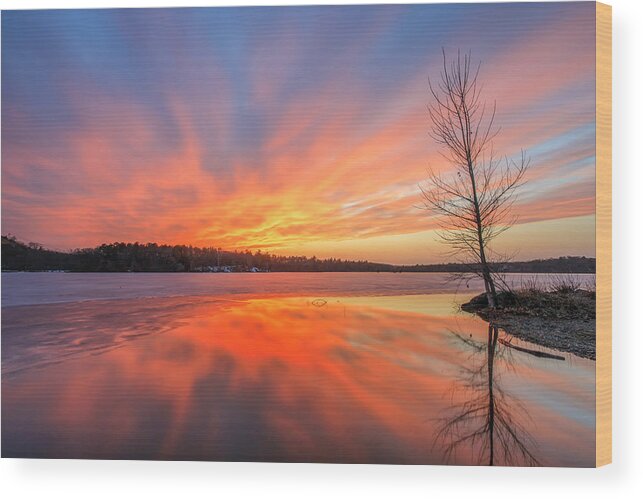 Horn Pond Wood Print featuring the photograph Pond Ablaze by Rob Davies