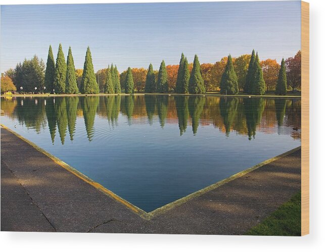 Scenics Wood Print featuring the photograph Pond In Eastmorland Park, Portland by Design Pics/craig Tuttle