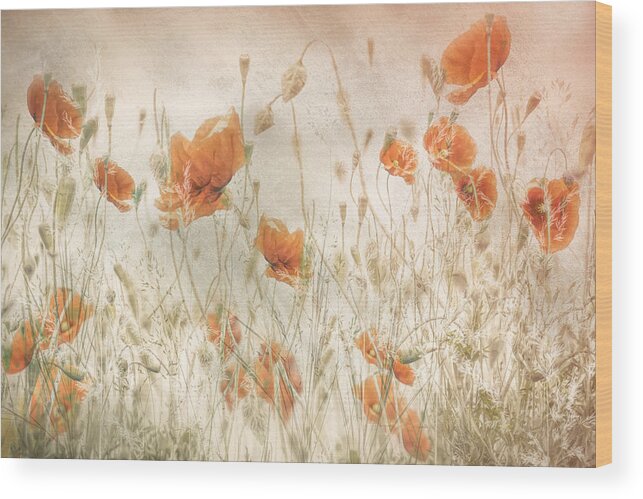 Poppy Wood Print featuring the photograph Poppies In The Field by Nel Talen