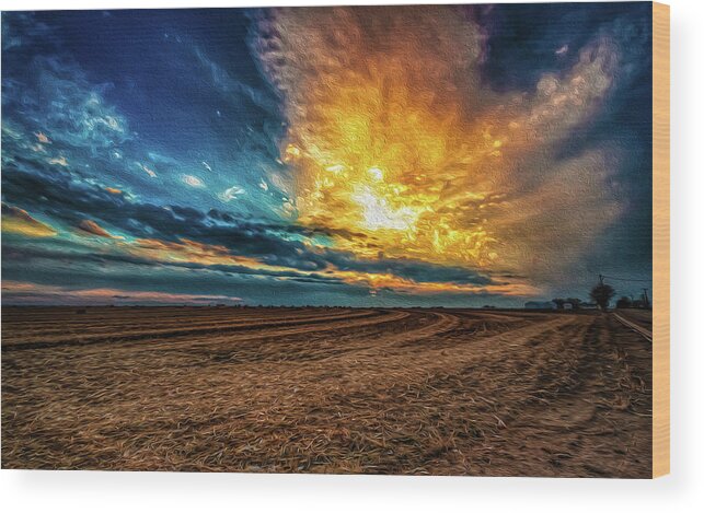 Sunset Wood Print featuring the photograph Post Harvest Sunset by Christopher Thomas