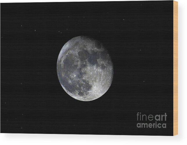Bloodred Wolf Moon Wood Print featuring the photograph Pre Blood Red Wolf Supermoon Eclipse 873A by Ricardos Creations