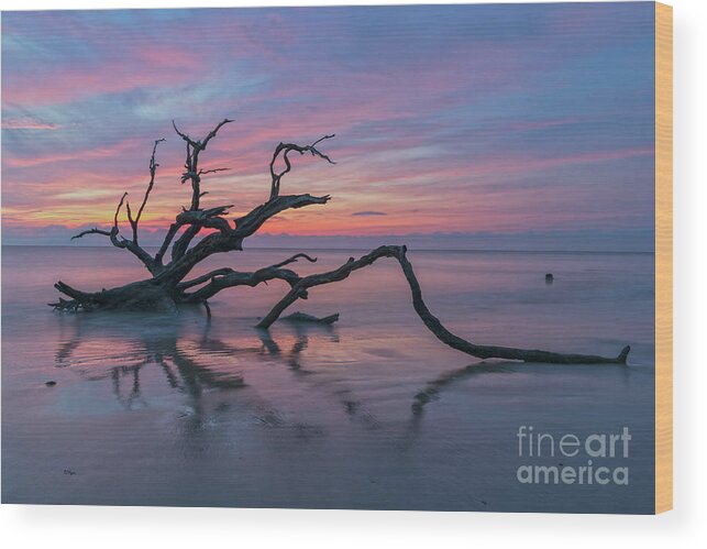 Sunrise Wood Print featuring the photograph Precious Moment at Driftwood Beach by DB Hayes