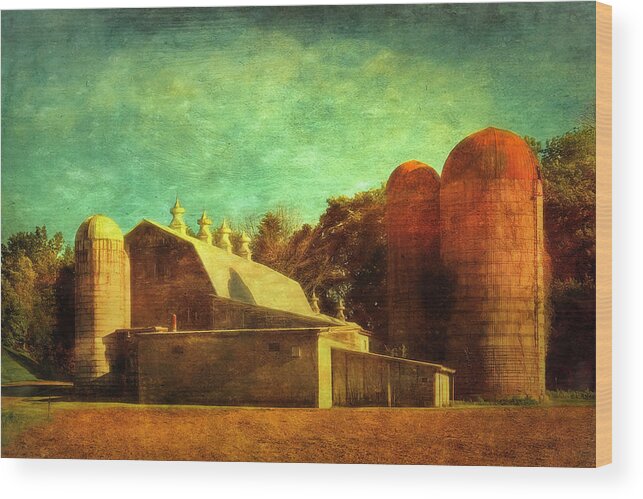  Wood Print featuring the photograph Pretty Farm by Jack Wilson