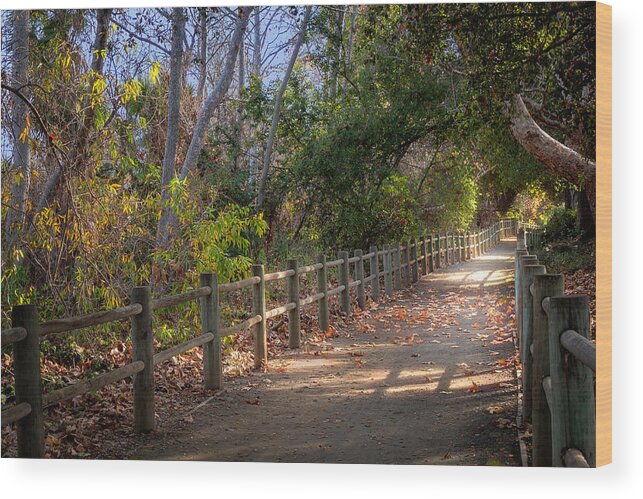 Path Wood Print featuring the photograph Pretty Path by Alison Frank