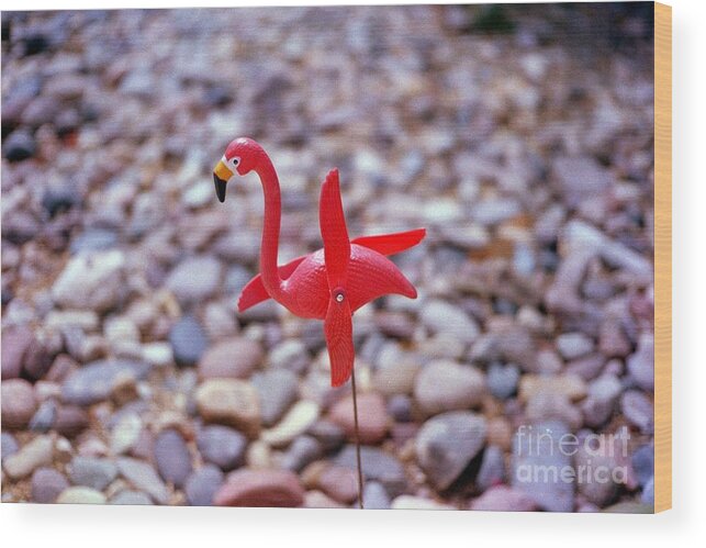 Flamingo Wood Print featuring the photograph Dave's Pink Flamingo - Palm Springs by Lee Antle