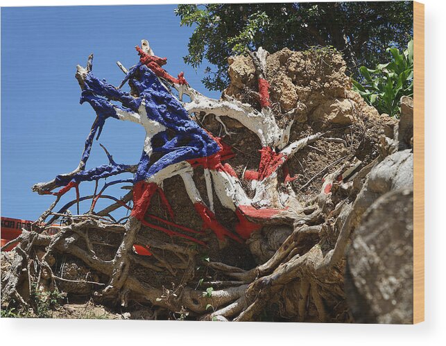 Richard Reeve Wood Print featuring the photograph Puerto Rico - The Roots of the Flag by Richard Reeve