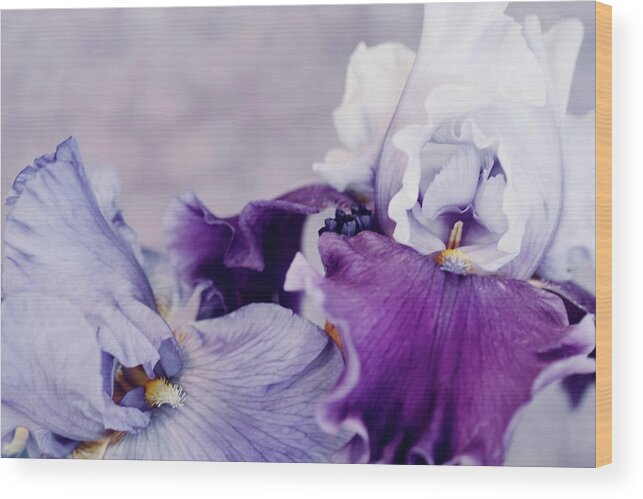 Flowers Wood Print featuring the digital art Purple Pleasures 0024 by Sherry Hallemeier