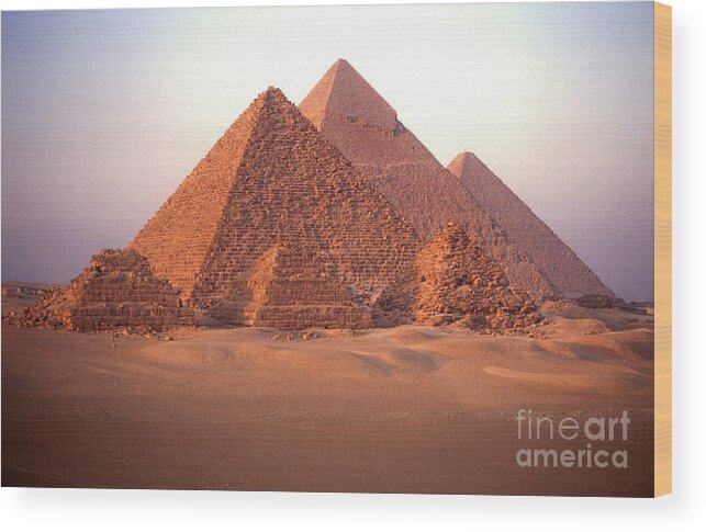 Majestic Wood Print featuring the photograph Pyramids Of Giza by Stevenallan