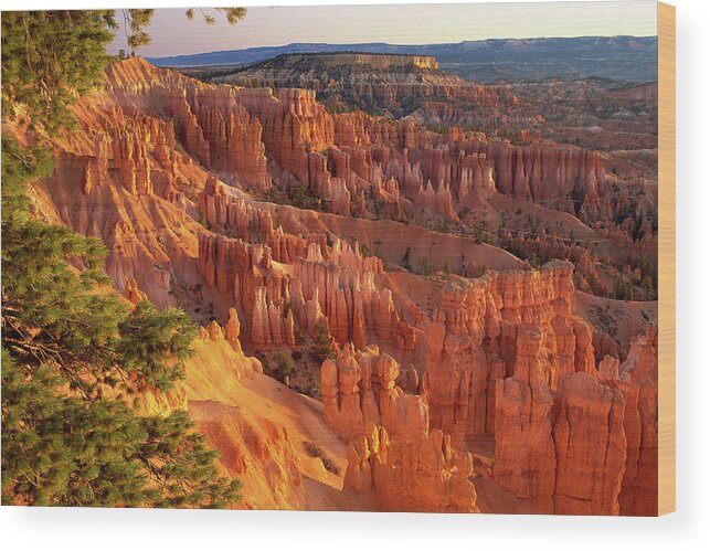 Geology Wood Print featuring the photograph Queens Garden Hoodoos At Sunrise. Bryce by Comstock Images