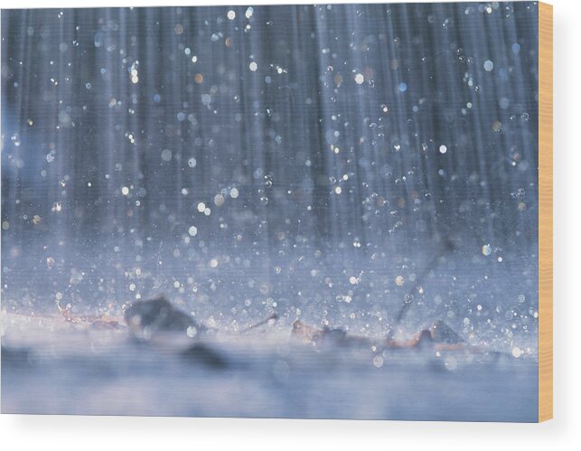 Part Of A Series Wood Print featuring the photograph Rain Falling On Ground by David De Lossy