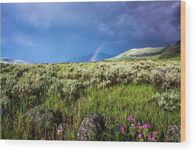 Storm Wood Print featuring the photograph Rainbow over Tom Miner Basin by Douglas Wielfaert