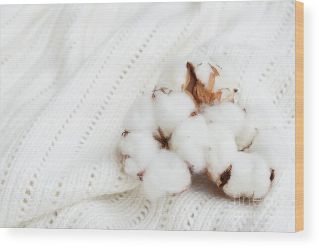 Cotton Wood Print featuring the photograph Raw cotton by Anastasy Yarmolovich