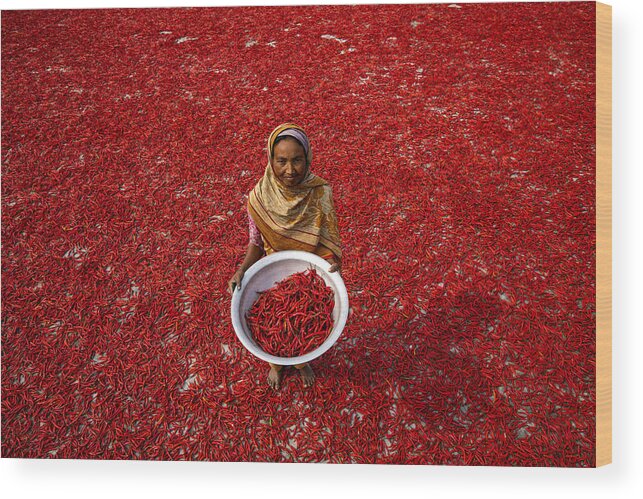 Red Wood Print featuring the photograph Red Chilli Worker by Azim Khan Ronnie