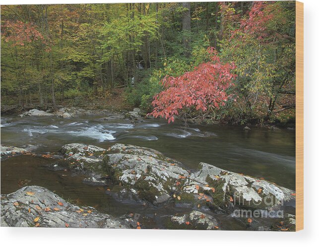 Trees Wood Print featuring the photograph Red Leaves Of Autumn by Mike Eingle
