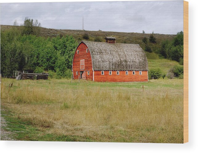 Barn Wood Print featuring the photograph Red Lodge MT Barn by Cathy Anderson