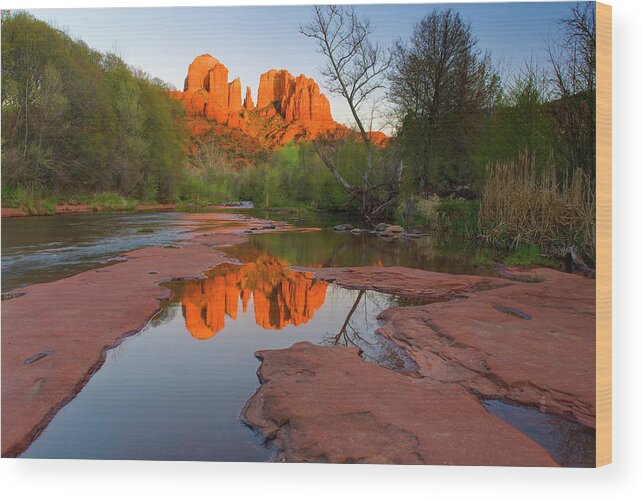 Estock Wood Print featuring the digital art Red Rock Reflection by Bernhard Fichtl