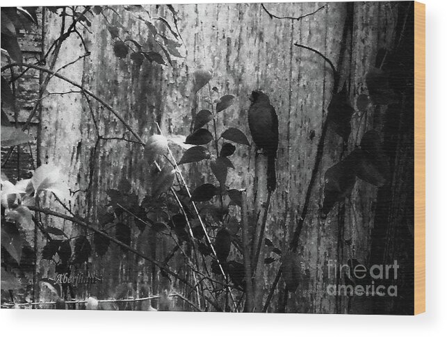 Red Birds Wood Print featuring the photograph Redbird Enjoying the Clarity of a Blue and Green Black and White Moment by Aberjhani