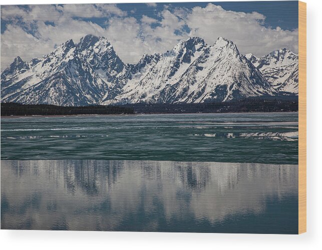 Cloudless Wood Print featuring the photograph Reflection In A Thawing Jackson Lake by Al Hann