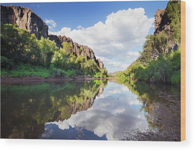 Extreme Terrain Wood Print featuring the photograph Reflections In Windjana Gorge, Western by Sara winter