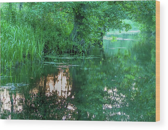 Spreewald Wood Print featuring the photograph Reflections of the evening sun in the Spreewald by Sun Travels