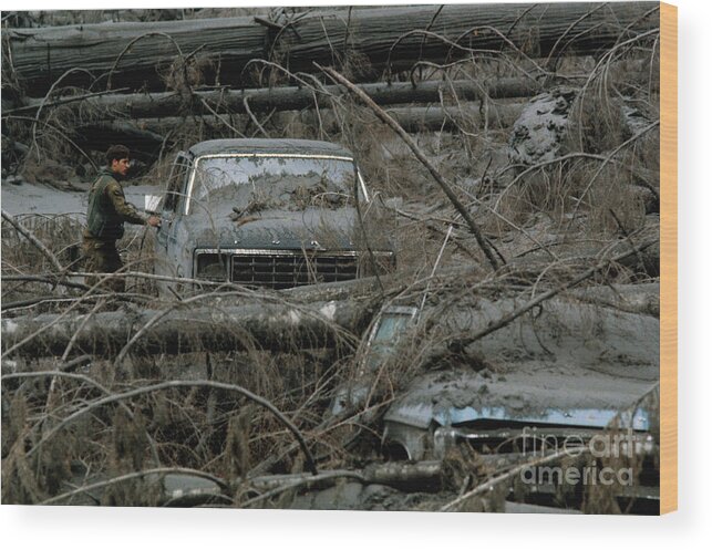 1980-1989 Wood Print featuring the photograph Rescuer Searching For Victims by Bettmann