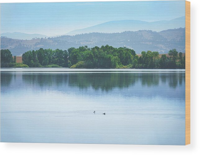 Montana Wood Print featuring the photograph Reservoir Reflections II by Nisah Cheatham
