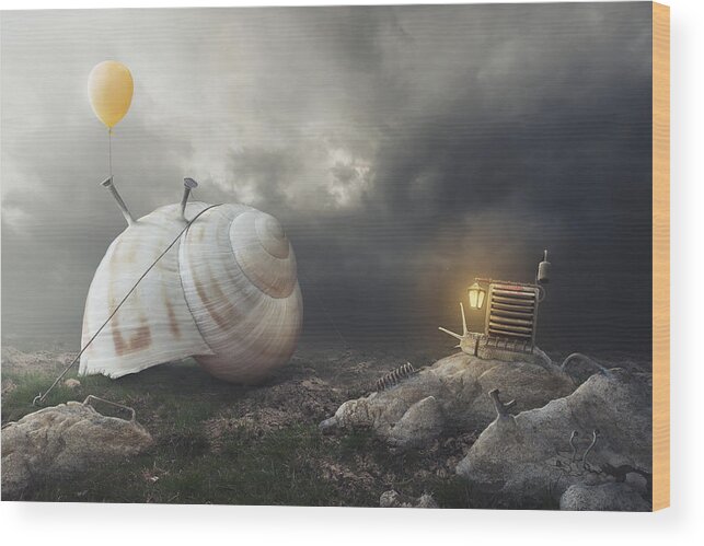 Snail Wood Print featuring the photograph Return Back Home by Peter Cakovsky