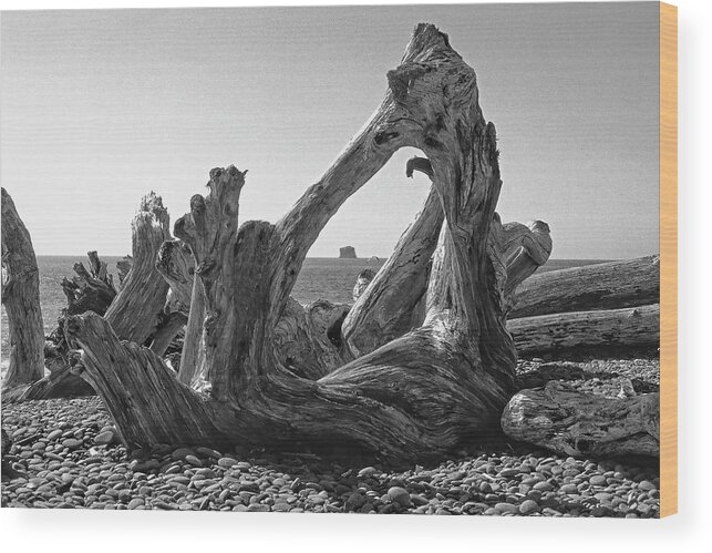 Pacific Wood Print featuring the photograph Rialto Beach Cake Rock Driftwood by Paul Rebmann