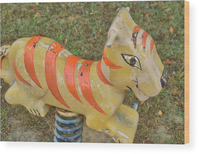 Aluminum Wood Print featuring the photograph Riding The Tiger by JAMART Photography