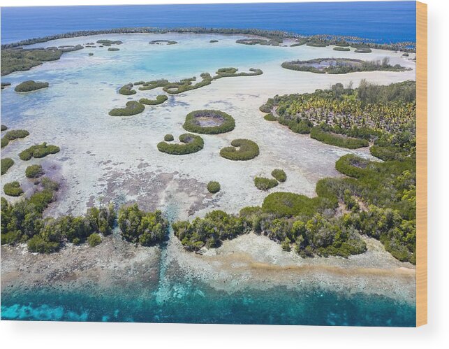 Landscapeaerial Wood Print featuring the photograph Rings Of Mangrove Trees Grow by Ethan Daniels