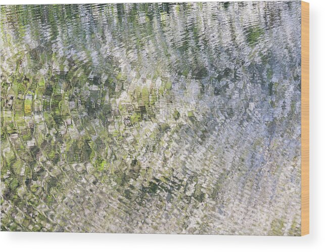 Ripples Wood Print featuring the photograph Ripples on the river with blossom reflections by Anita Nicholson