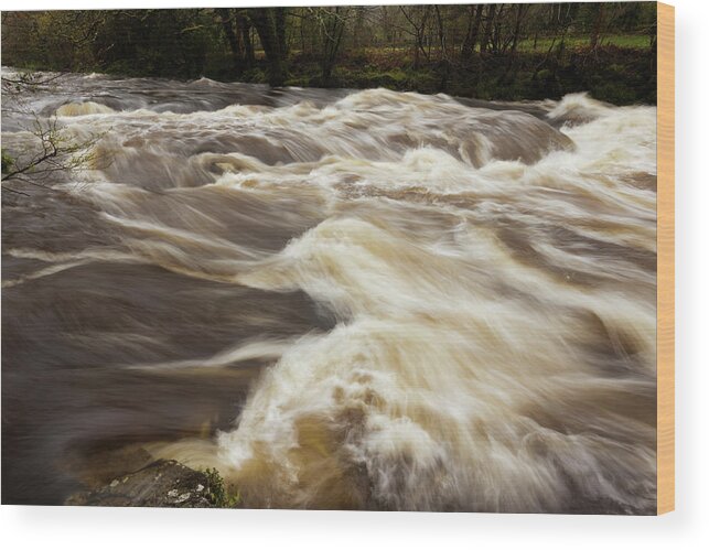 Dart River Wood Print featuring the photograph River Dart, Devon, In Flood After Heavy by Moorefam
