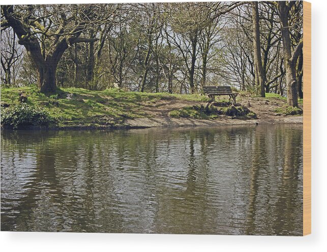 Rivington Wood Print featuring the photograph  RIVINGTON Japanese Pool Bench. by Lachlan Main