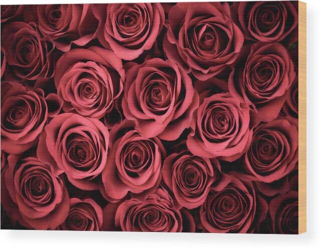 Dozen Wood Print featuring the photograph Rose Background by Liliboas