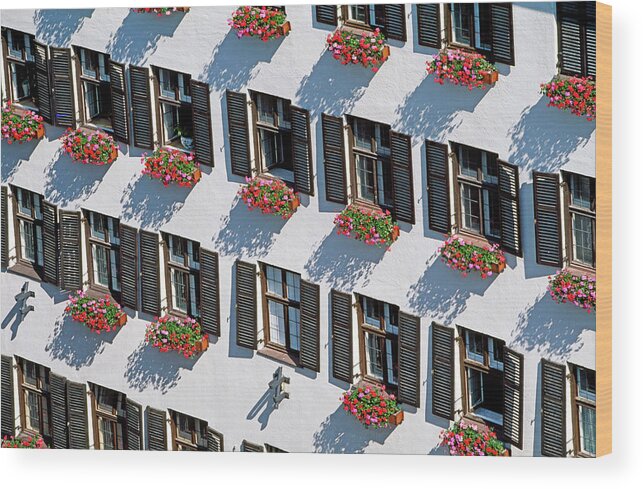 Shutter Wood Print featuring the photograph Row Of Windows And Flowers On A Building by Murat Taner