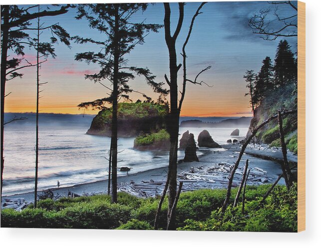 Coastline Wood Print featuring the photograph Ruby Beach #2 by David Chasey