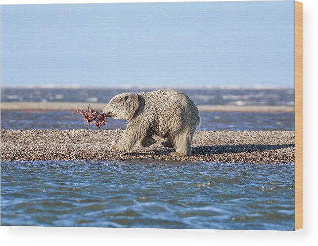 Arctic Wood Print featuring the photograph Running Down The Beach by Juli Ellen