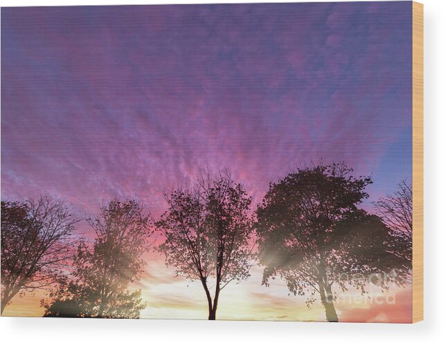 Alone Wood Print featuring the photograph Rural purple sunset over winter trees by Simon Bratt