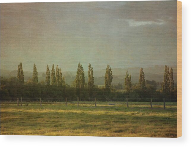 Tranquility Wood Print featuring the photograph Rural Scene by Jill Ferry