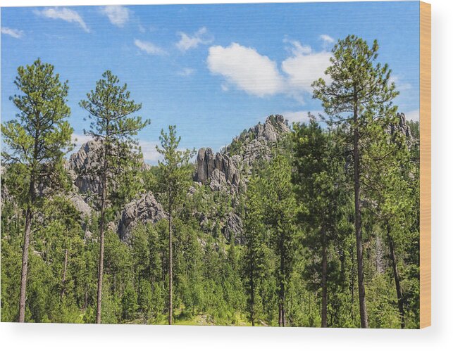 South Dakota Wood Print featuring the photograph S Dakota MTS by Chris Spencer