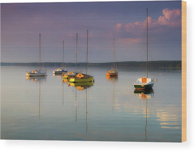 Sailboat Wood Print featuring the photograph Sail To Nowhere by Michal Sleczek