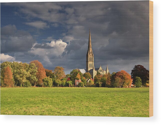 Salisbury Cathedral Wood Print featuring the photograph Salisbury Cathedral, Wiltshire by Julian Elliott Photography