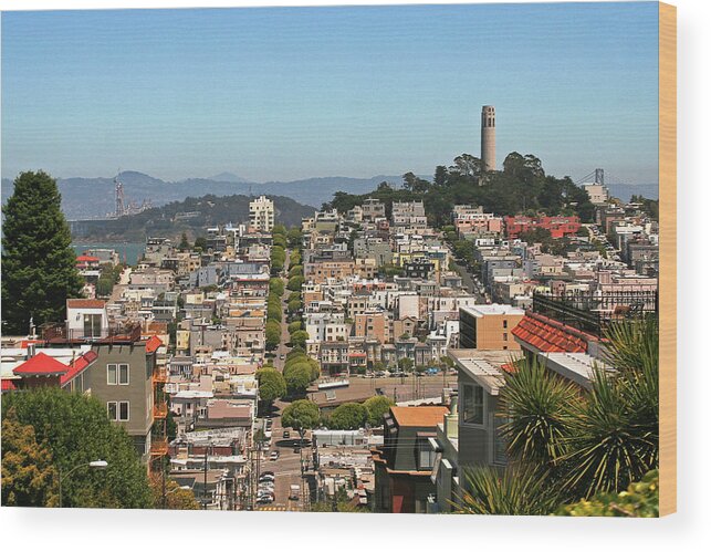 San Francisco Wood Print featuring the photograph San Francisco - Telegraph Hill by Richard Krebs