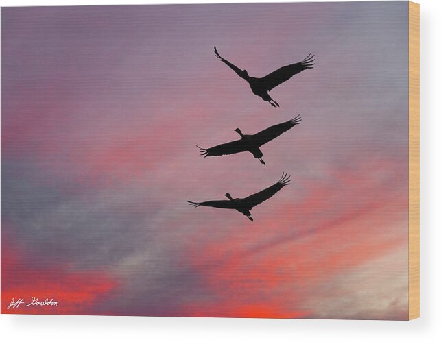 Animal Wood Print featuring the photograph Sandhill Cranes at Sunset by Jeff Goulden