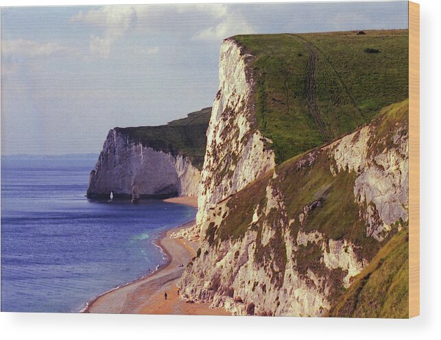 Water's Edge Wood Print featuring the photograph Sandstone Cliffs, Dorset by Krishna Santhanam